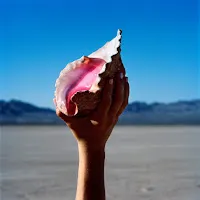 The Killers — Wonderful Wonderful — обложка